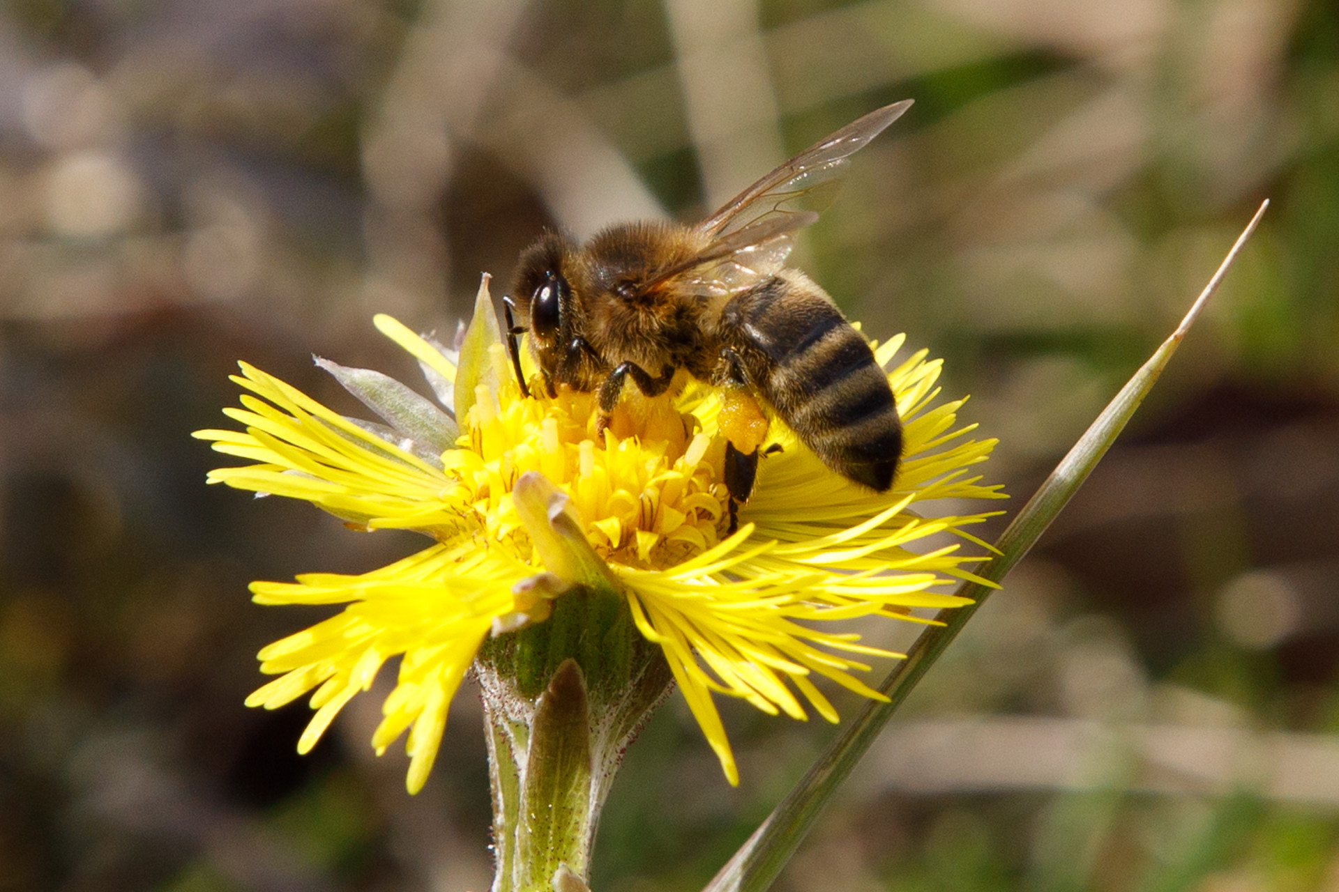 В Туле и области потеплеет до +22 градусов в четверг, 22 мая