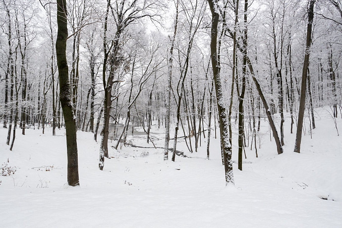 Три парка и карстовая воронка стали особо охраняемыми местами в Туле