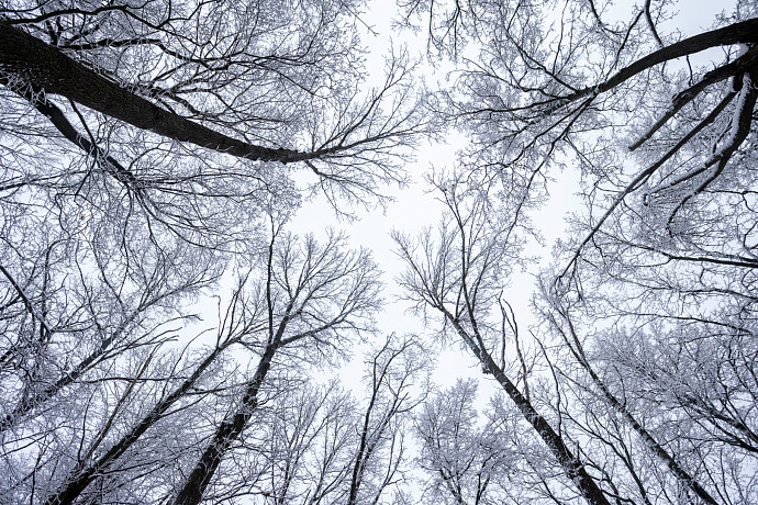 Температура воздуха в ночь на 13 марта опустится до - 7 градусов