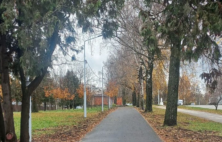 На участке веломаршрута «Лев Толстой» на Косой Горе в Туле смонтировали освещение