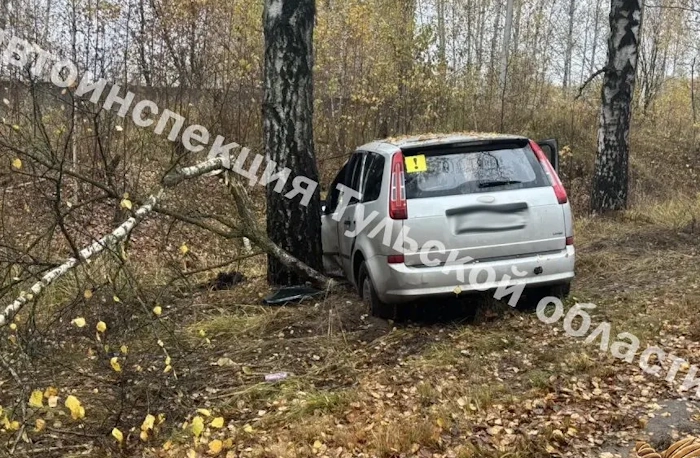 Два человека пострадали в ДТП на трассе в Щекинском районе
