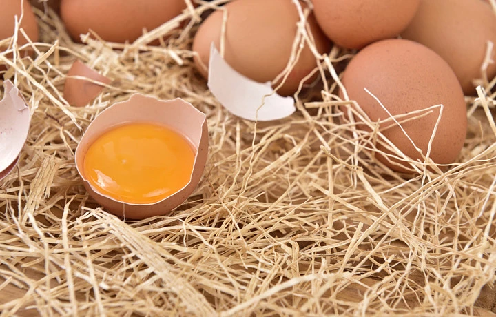 ФАС напомнила о запрете необоснованного повышения цен на куриные яйца перед Пасхой | ТСН24