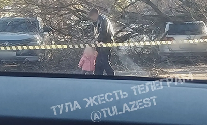 На улице Максима Горького в Туле упавшее дерево повредило два автомобиля