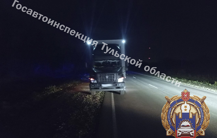 Велосипедист пострадал при столкновении с автомобилем ГАЗ в Тульской области