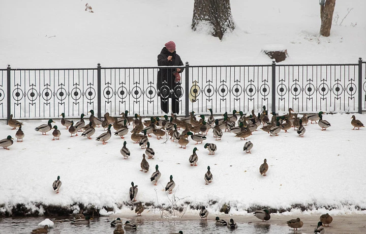 В Тульской области в январе ожидаются «температурные качели»