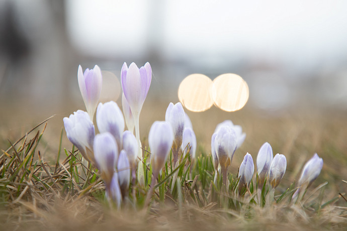 Весна в 2023 году придет в Тульскую область к концу марта