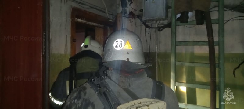Сотрудники МЧС спасли детей из горящего здания в Алексине