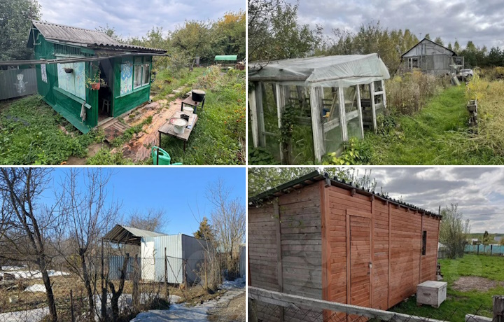 Дача за копейки: почему зумеры скупают старые участки и что можно купить в Туле за полмиллиона?