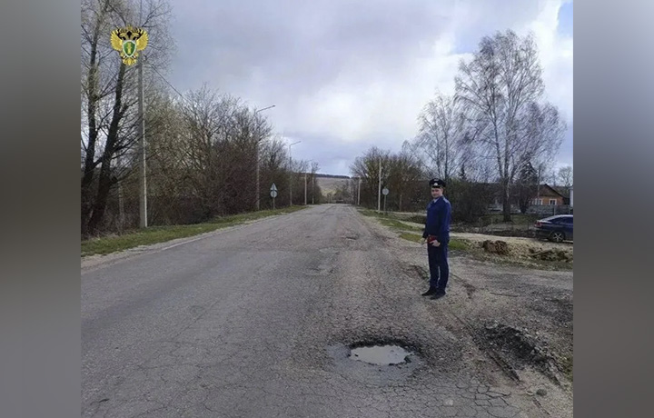 Ямы и выбоины выявили на дороге в Каменском районе