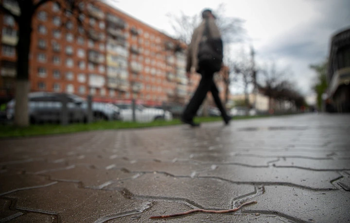 В Тульской области 4 мая ожидается гроза