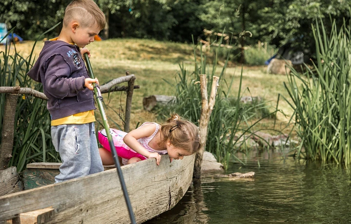 Тульская область вошла в тройку лидеров России по бронированию ферм и глэмпингов
