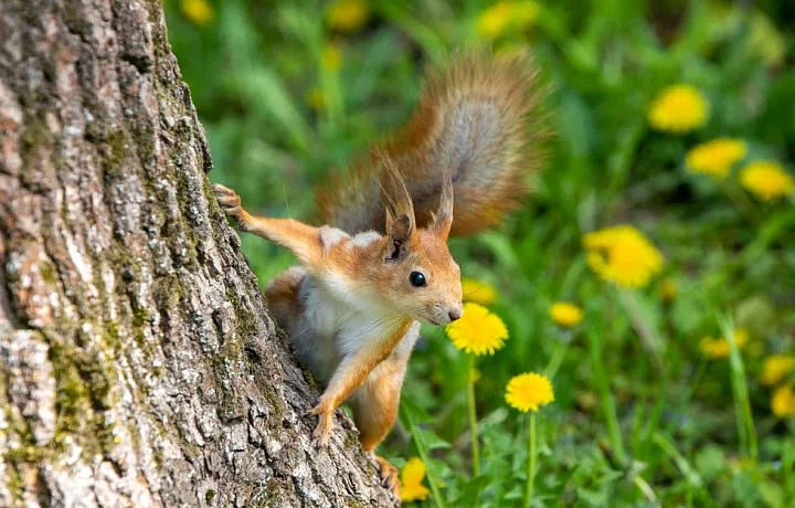 В Алексине появится первая в Тульской области экотропа