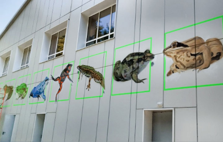 Портреты земноводных украсили фасад Тульского экзотариума