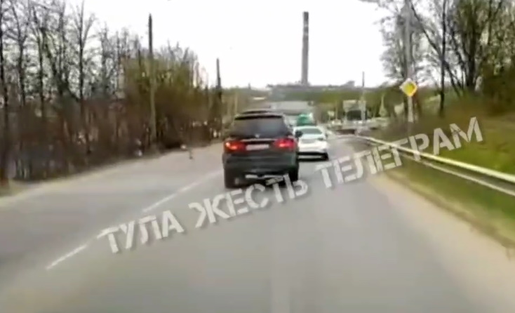 Лось чуть не попал под колеса машины на Веневском шоссе в Туле — ТСН 24