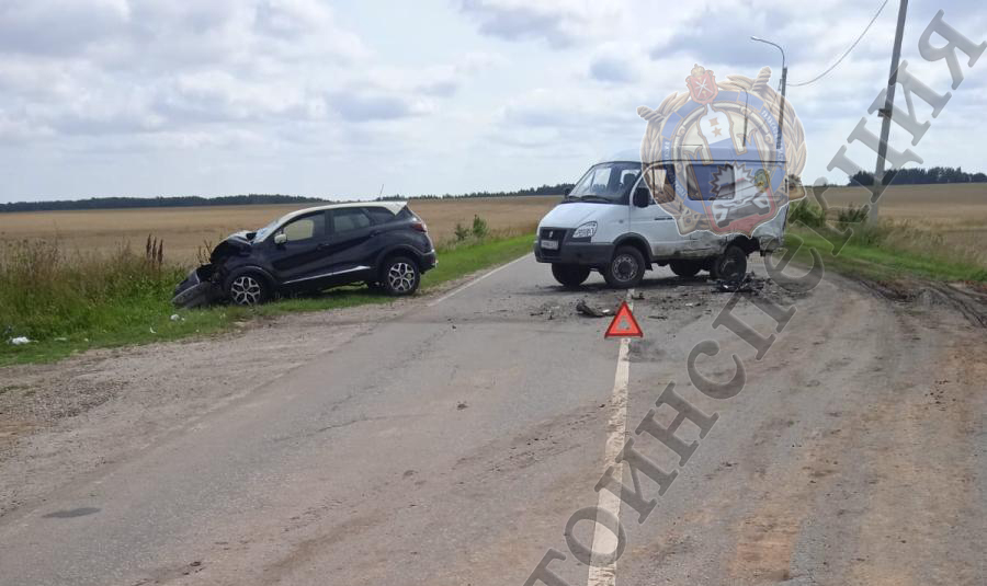 В Богородицком районе водитель легковушки попал в больницу после ДТП с "ГАЗелью"