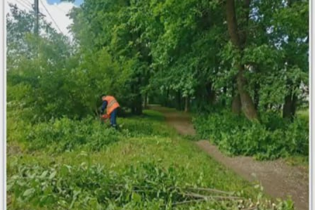 Жители тульского микрорайона «Левобережный» пожаловались отсутствие освещения на дубовой аллее