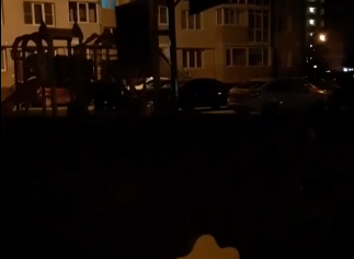 Туляки сообщили о стаях собак в микрорайоне Левобережном