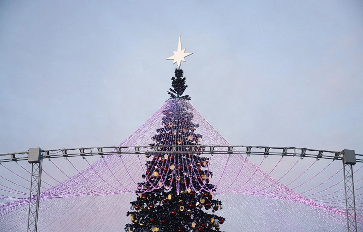 Туляков приглашают посетить «Рождественские колядки на Куликовом поле»