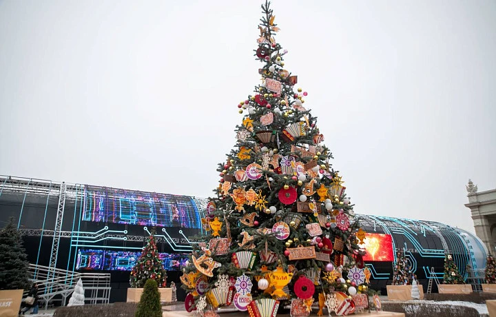 Туляков приглашают посетить выставку «Россия» на ВДНХ в праздничные дни