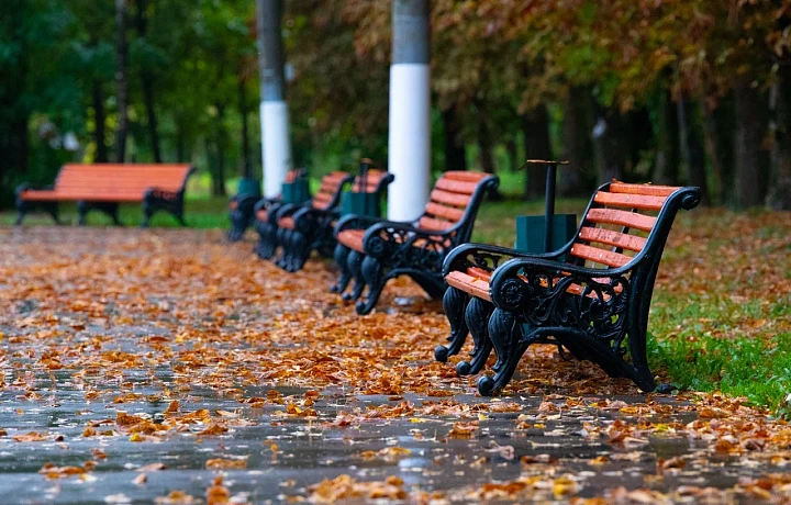 Придет осень: синоптик Ильин рассказал, какая погода ждет туляков с 22 по 26 сентября