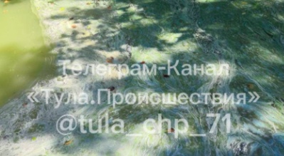 Жители пожаловались на загрязнение водоема в деревне Якшинские выселки Тульской области