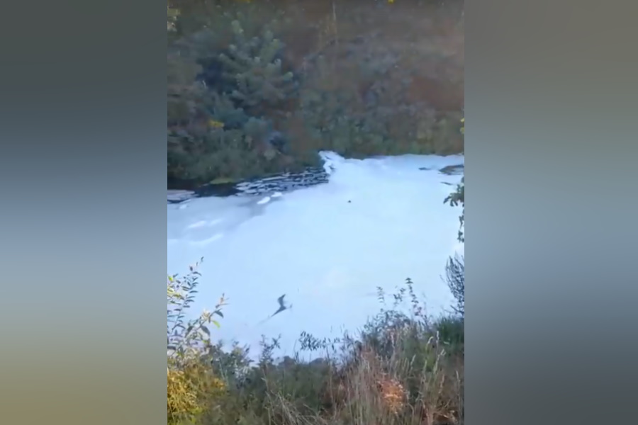 В Тульской области река Мышега покрылась белой пеной из-за сбросов от завода