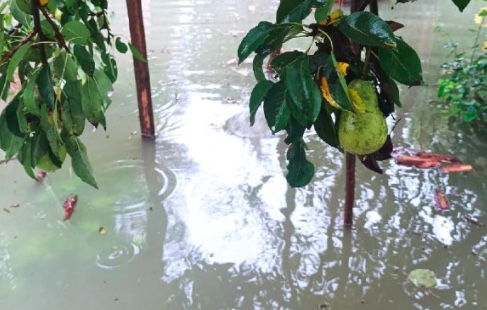 «Не могу пройти даже в высоких сапогах»: туляки продолжают страдать от последствий подтоплений на улице Томпа