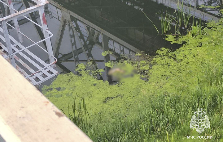 Двое мужчин утонули в Алексинском и Ефремовском районах