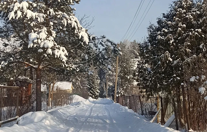 С 2028 года у туляков могут начать изымать дачные участки