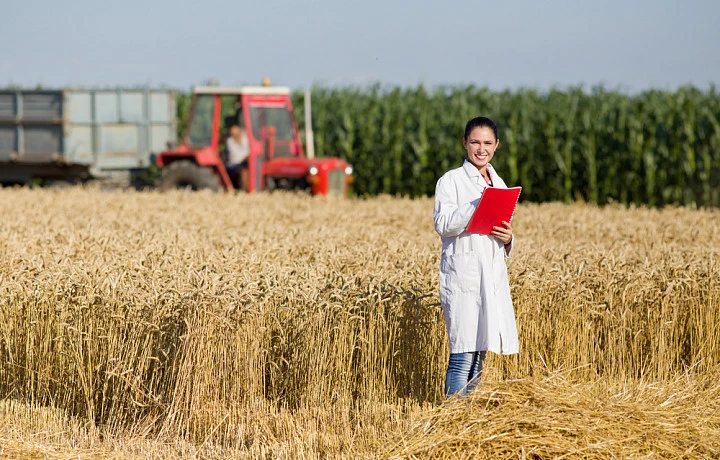 Собственникам аграриев, пренебрегшим запретом на пал травы, ограничили возможность получения региональных льгот в Тульской области