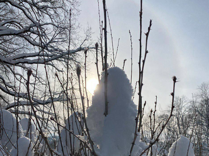В Ясной Поляне туляки сфотографировали солнечное гало