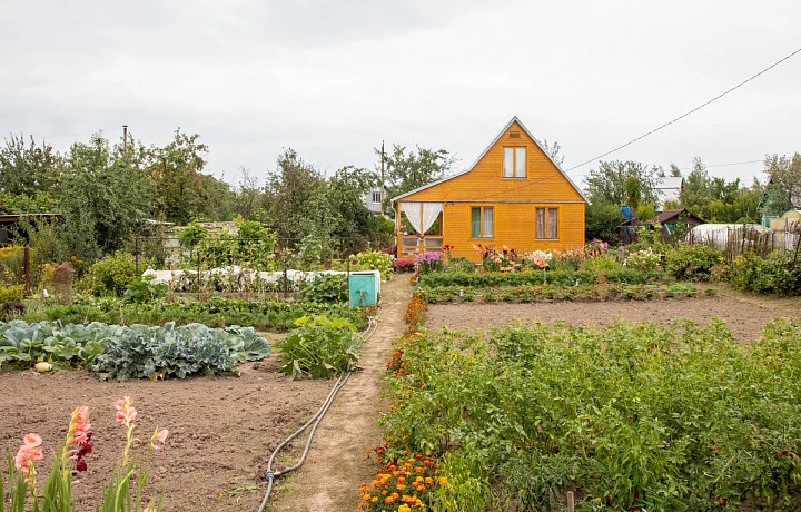 Как обезопасить себя на даче: Роспотребнадзор дал тулякам важные рекомендации