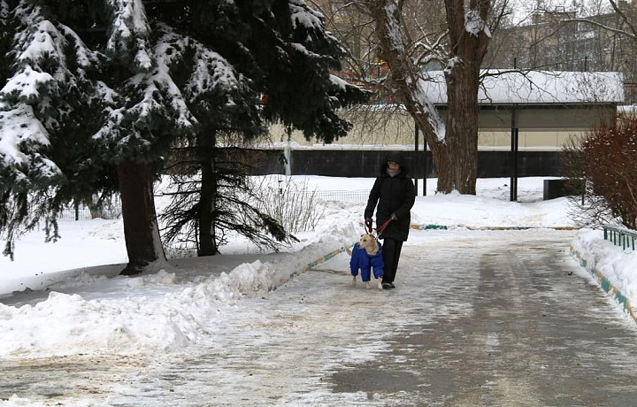 В Тульской и соседних областях объявили оранжевый уровень погодной опасности