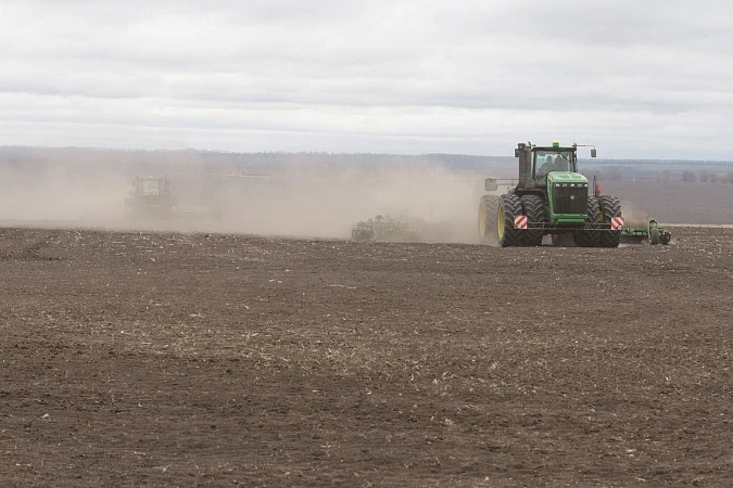 За год урожайность подсолнечника на зерно выросла на 11,4% в Тульской области