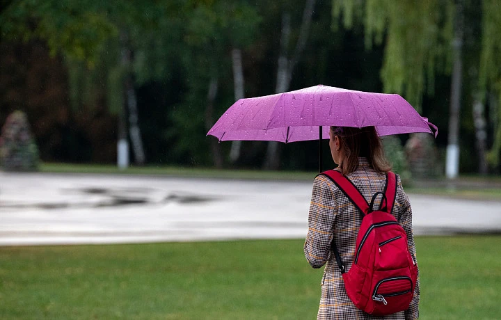 Осадки обрушатся на Тульскую область 23 июня