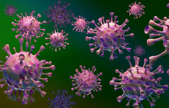 В Роспотребнадзоре обнаружили новый вирус Хасеки, передающийся людям от клещей