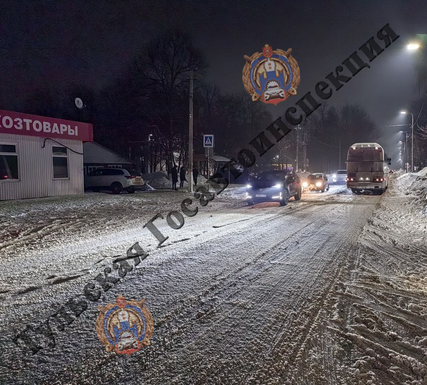 Водитель ГАЗ-2217 сбил женщину в Донском: пострадавшую госпитализировали