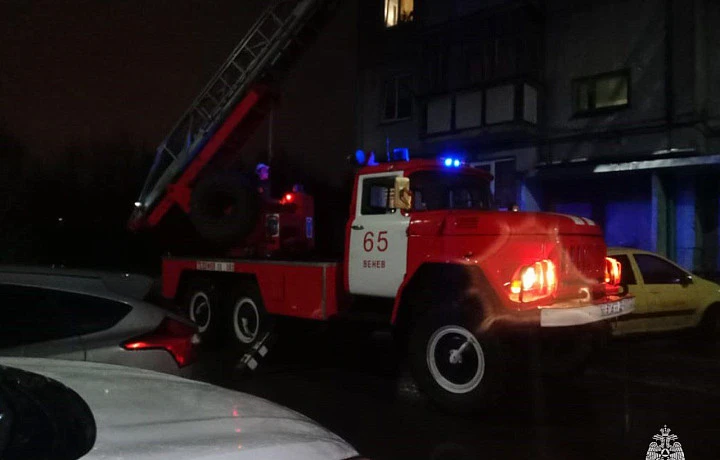 Шесть пожаров потушили спасатели в Тульской области за сутки 7 марта
