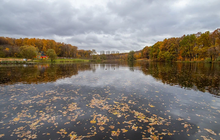 В Тульской области в ближайшие десять дней ожидается теплая погода