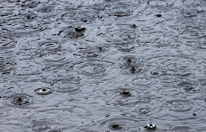 В Тульской области 16 октября объявлено метеопредупреждение из-за сильного дождя