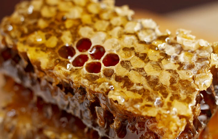 Суд в Тульской области оштрафовал компанию на 1 миллион 800 тысяч рублей за гибель пчел