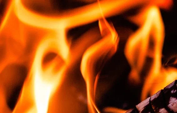 В Тульской области за год уничтожили 280 килограммов дикорастущей конопли и мака