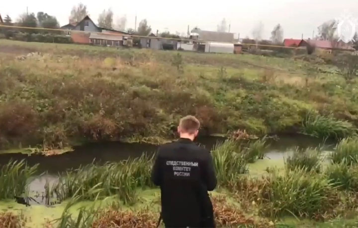 Подрядчика будут судить за мошенничество на 3,5 млн рублей при расчистке тульской реки