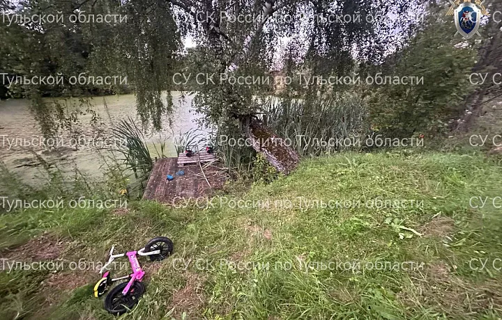 Погибший в Дубенском районе четырехлетний мальчик мог сам уйти из дома к водоему