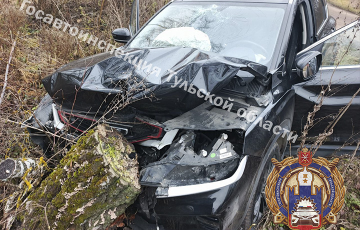В Арсеньевском районе водитель съехал в кювет и врезался в дерево
