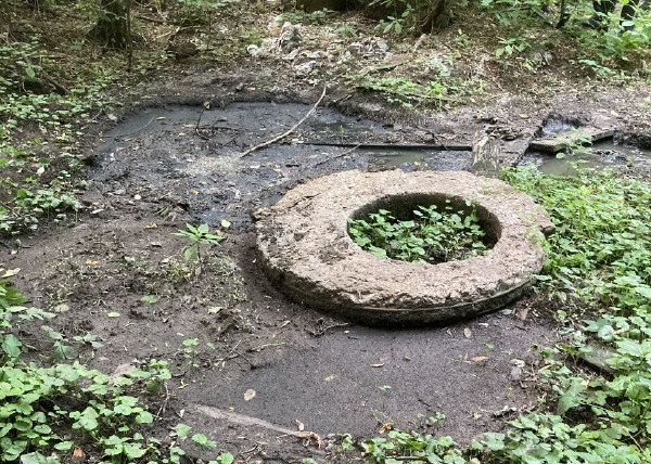 Прокуратура начала поиск владельца колодца, который затапливает стоками Карачевский лес в Кимовском районе
