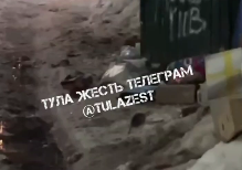 Туляки пожаловались на крыс у контейнерной площадки