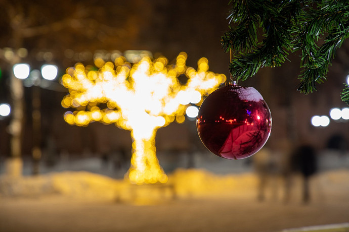 Каждый шестой туляк признался, что мечтает об увеличении новогодних каникул