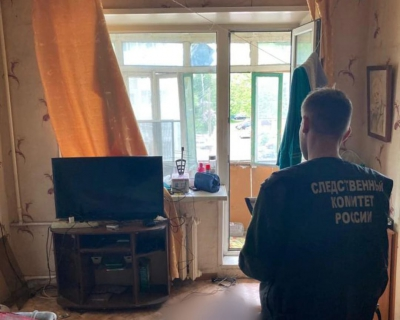 В Веневском районе пенсионер убил знакомую кухонным ножом во время ссоры