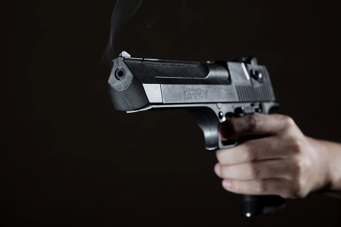 Жителю Одоева на полгода ограничили свободу за незаконное хранение пистолета